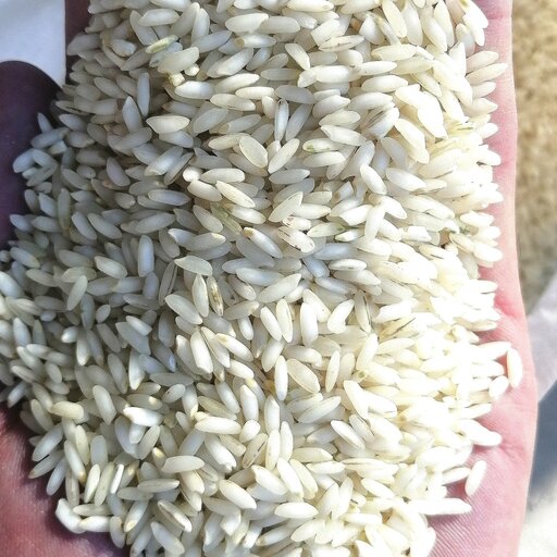 برنج عنبر بو 30کیلو بخر  ( سود ببر) 