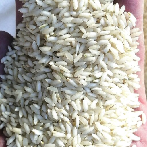 برنج عنبر بو 40 کیلو، یک میلیون  سود ببرید،  رایگان 