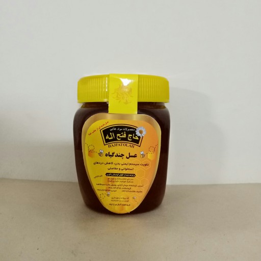عسل چندگیاه(450گرم)
