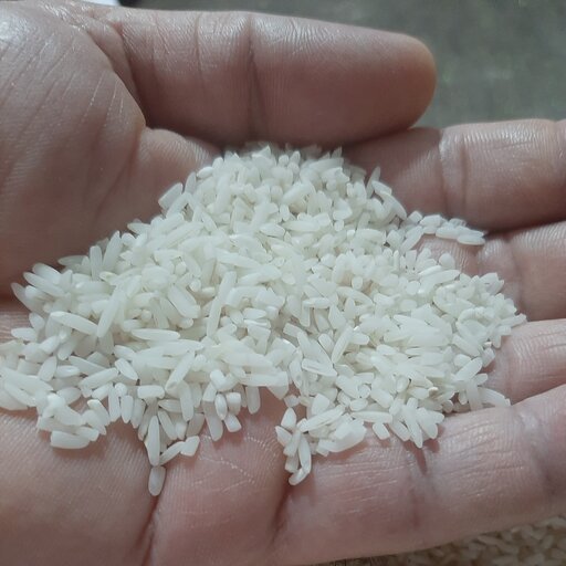 برنج سرلاشه اعلاء طارم هاشمی معطر  امساله کیسه 10 کیلویی(با تضمین کیفیت پخت)