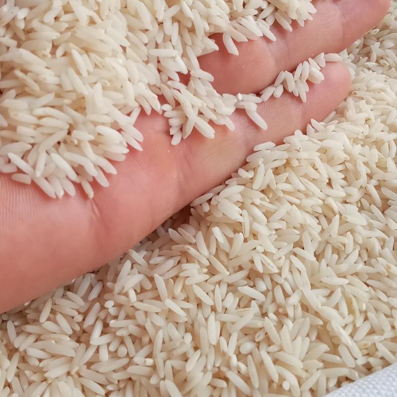 برنج ایرانی طارم چلوکبابی غلامعباس فلاح وپسران(10کیلوگرم)