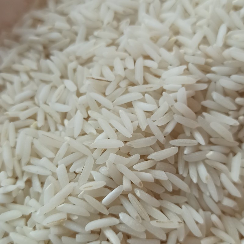 برنج طارم هاشمی درجه 1 محصول آستانه اشرفیه «3.5کیلویی»