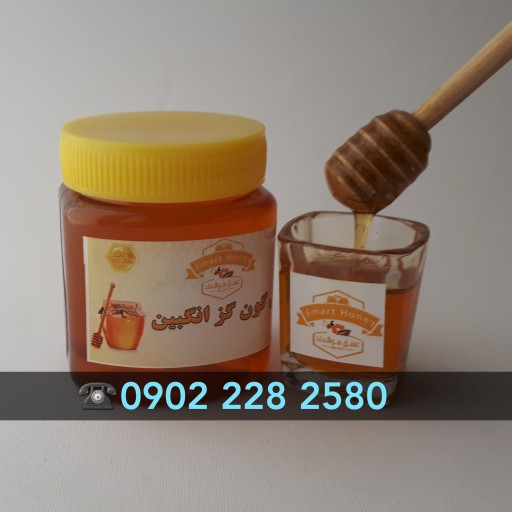 عسل ارگانیک گون گزانگبین (1000 g) هوشمند مسیحا