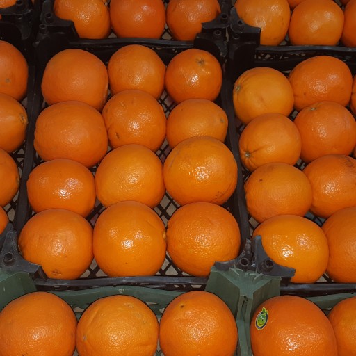پرتقال (یک کیلو)