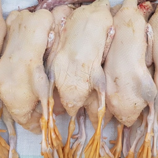 گوشت اردک روستایی رضوان (یک عدد اردک کامل منجمد.حدود 1300 گرم)