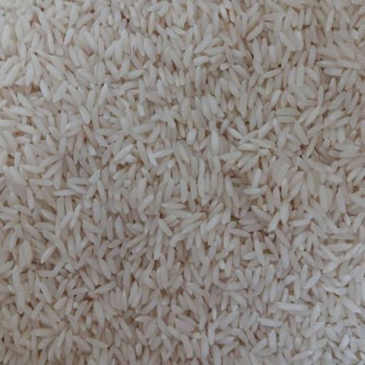 برنج طارم هاشمی درجه یک امساله از شالیزارهای شمال مستقیم از کشاورز