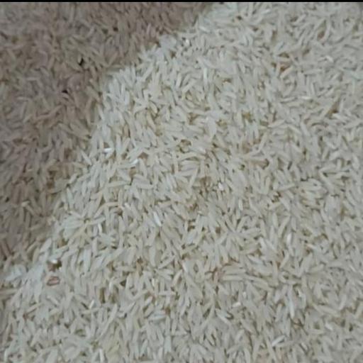 برنج طارم فجر درجه یک امساله کشت 120 روزه با آب چشمه مستقیم از شمال و کشاورز