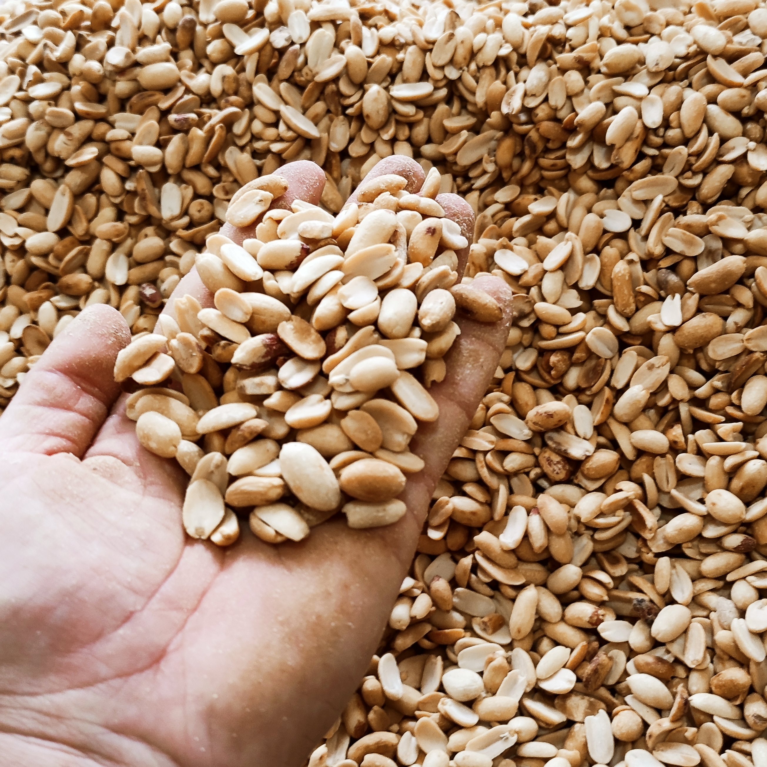 کره بادام زمینی ایرانی خالص ( تستر ) تبرک مغان درجه یک