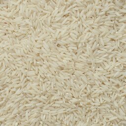 برنج هاشمی معطر  درجه یک تضمینی محصول  مزارع فومن و صومعه‌سرا 