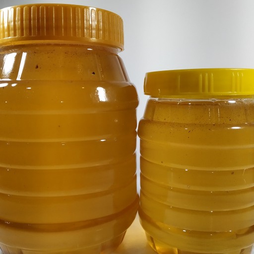 عسل گون یک کیلوئی سرچشمه