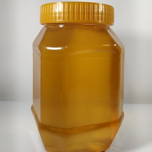 عسل گون 500 گرمی سرچشمه
