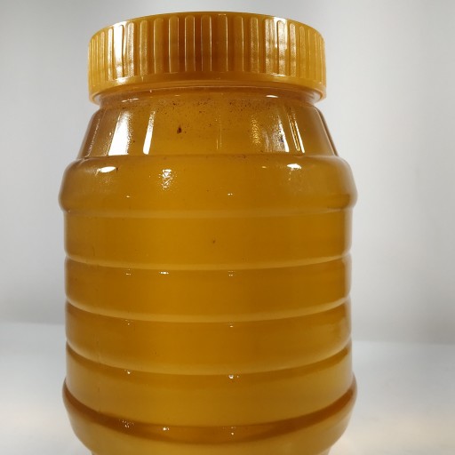 عسل گون 500 گرمی سرچشمه