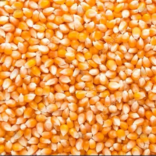 ذرت پفیلا ( 250 گرم ) 🌽