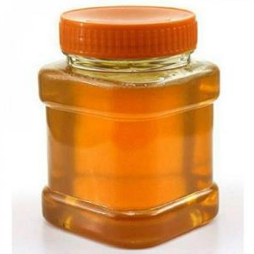 عسل گون اعلا ساکارز 2.9 (500 گرمی)