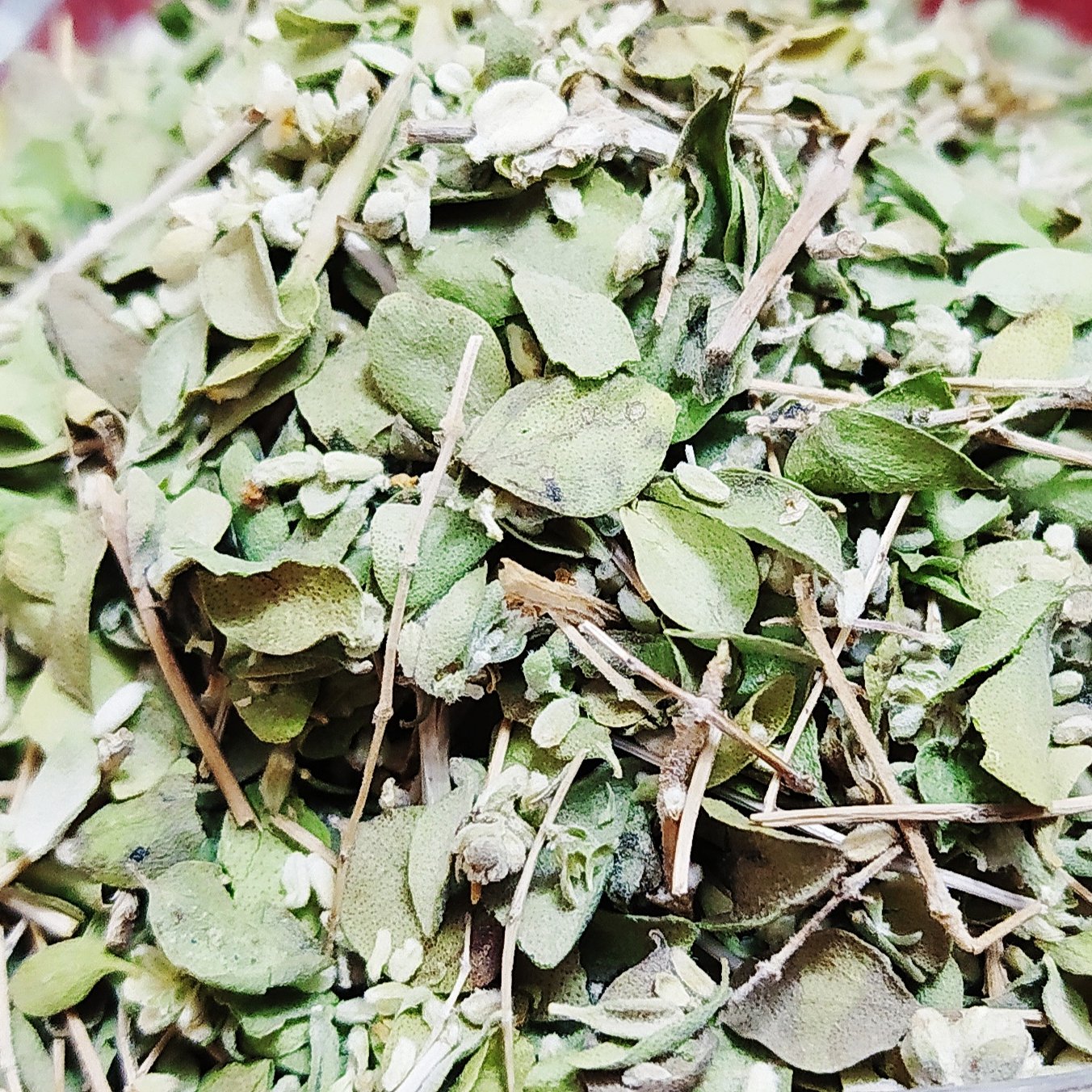 آویشن شیرازی برگ 75 گرمی