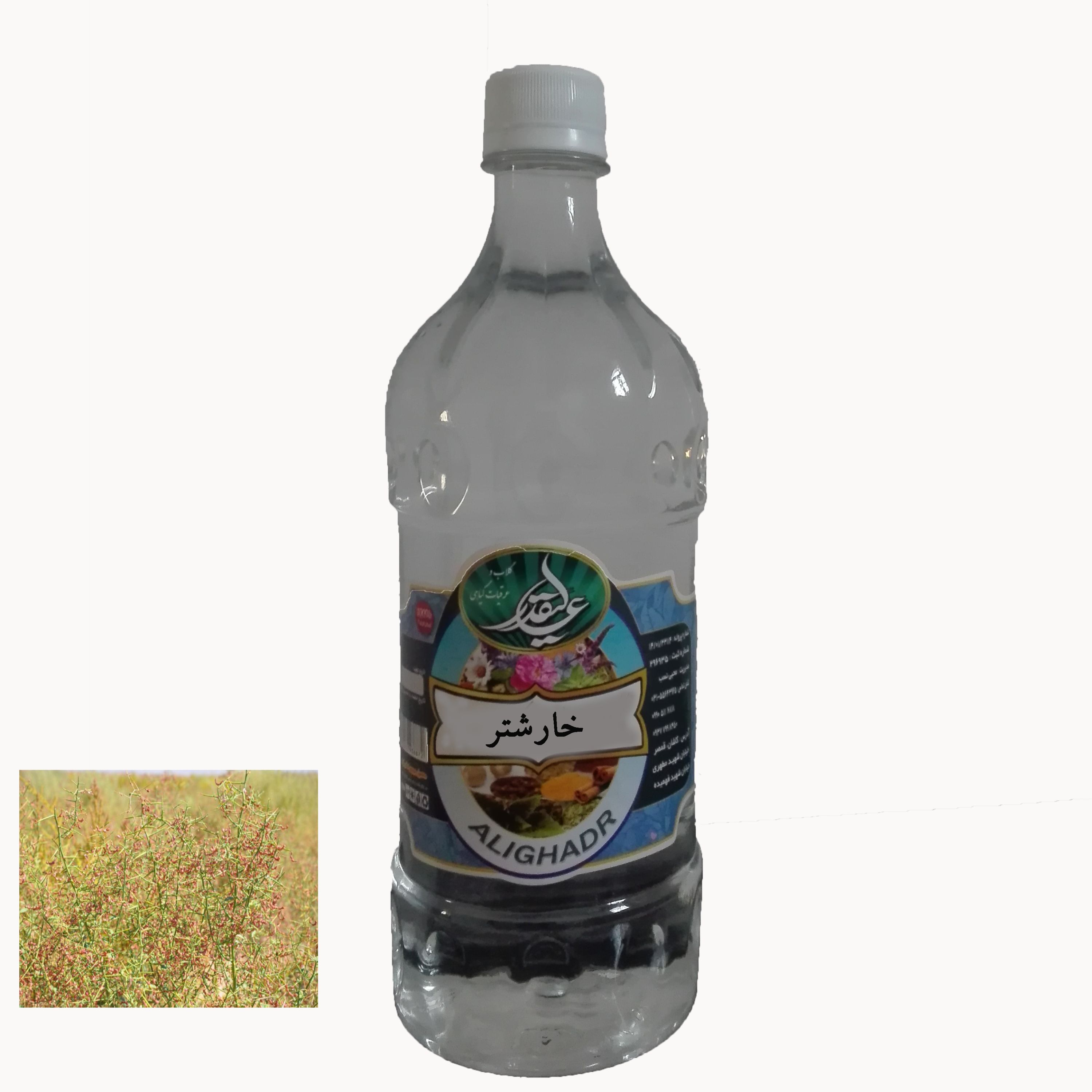 عرق خار شتر