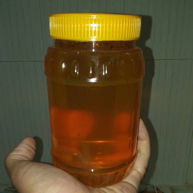 عسل اصل گون