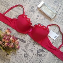 سوتین آفتابگردان اسفنجی