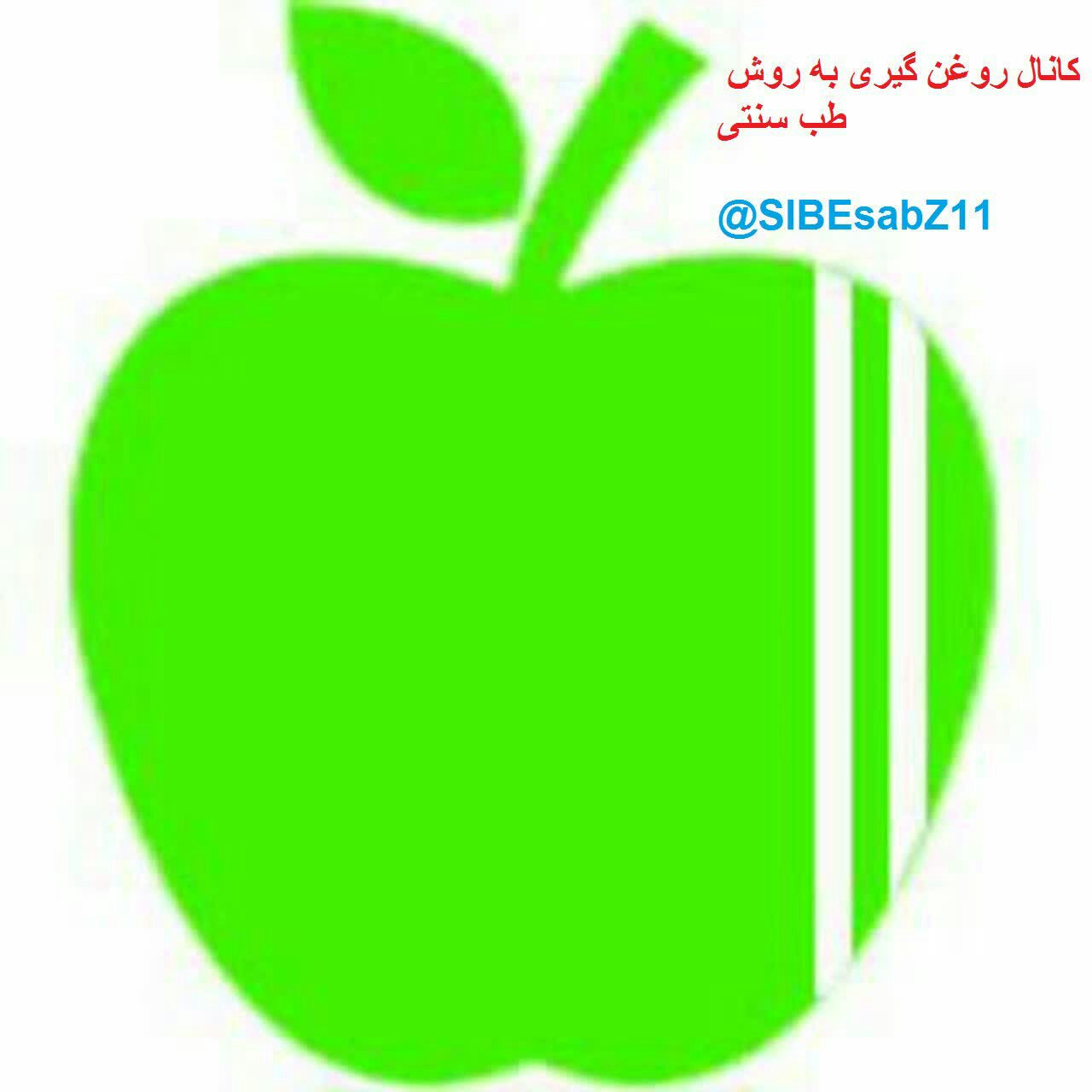 شامپو جوانه گندم