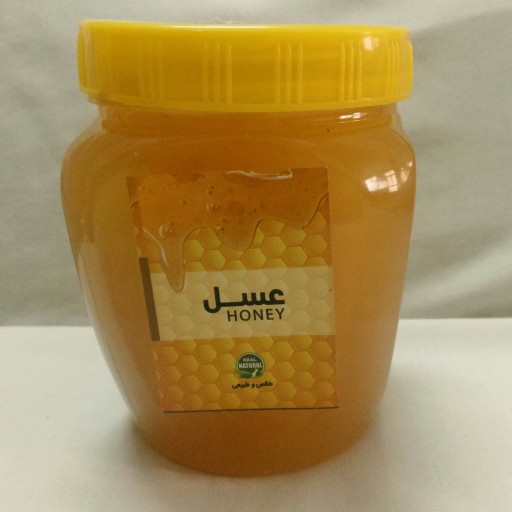 عسل طبیعی (تغذیه شده)