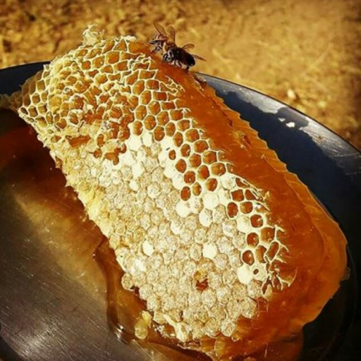 عسل با موم خوشمزه (ارسباران)