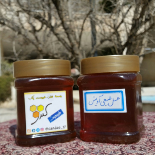 عسل طبیعی آویشن، نیم کیلویی