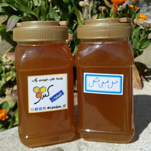 عسل طبیعی جنگل، یک کیلویی