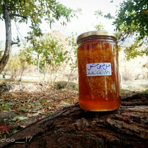 عسل طبیعی جنگل با موم ارگانیک خودبافته