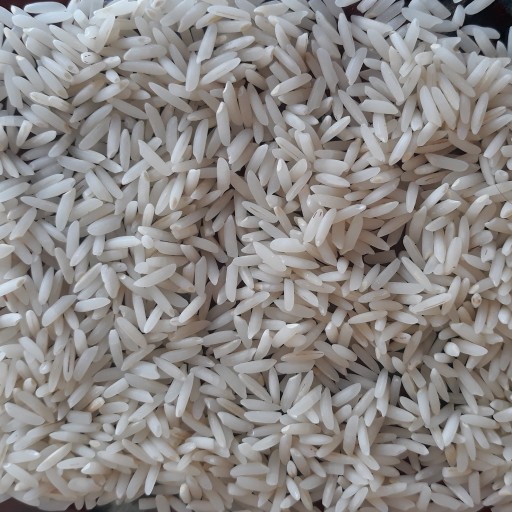 برنج طارم اصل شمال ( 50 کیلویی )