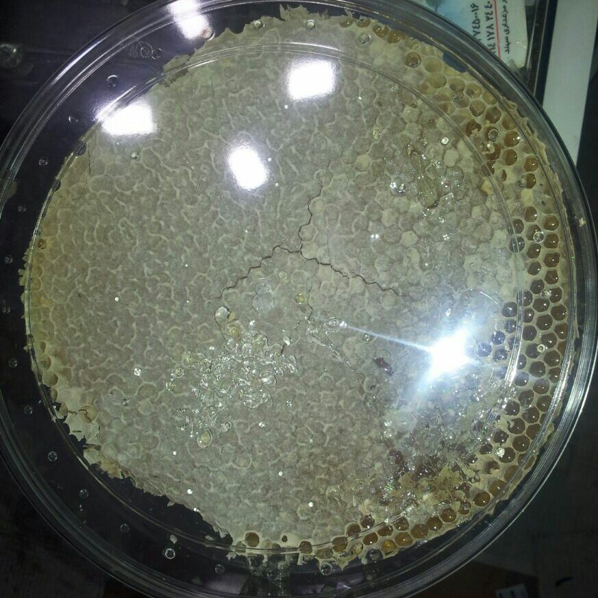 عسل موم دار گون