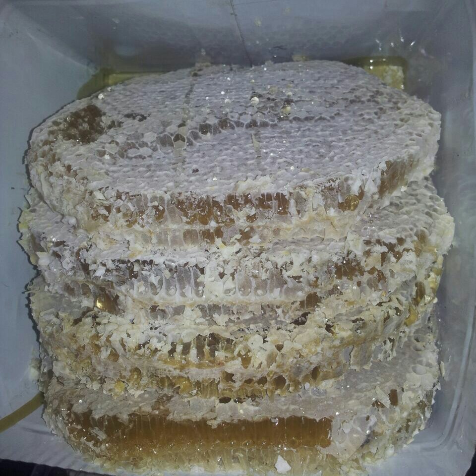 عسل موم دار گون