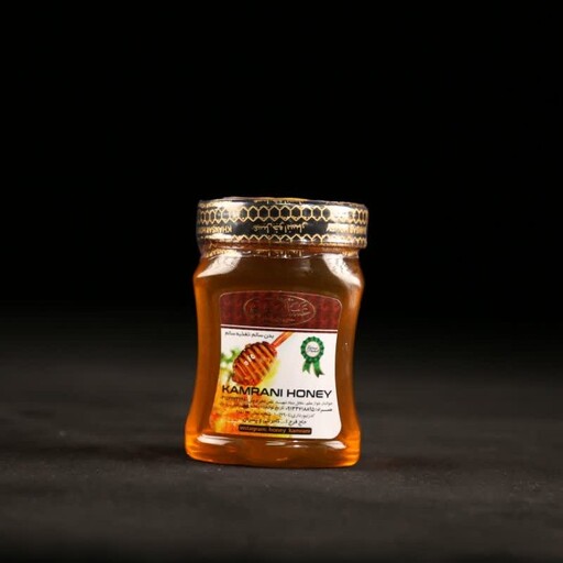 عسل انگبین مخصوص (گون) کامرانی  500گرمی ارسال رایگان
