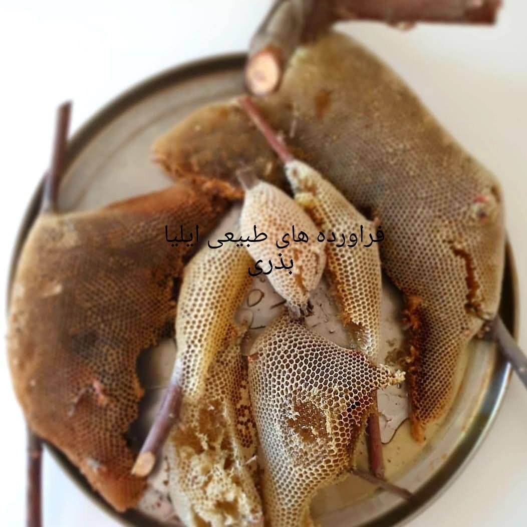 شهد عسل درختی (2کیلویی) (فراورده های طبیعی ایلیا )