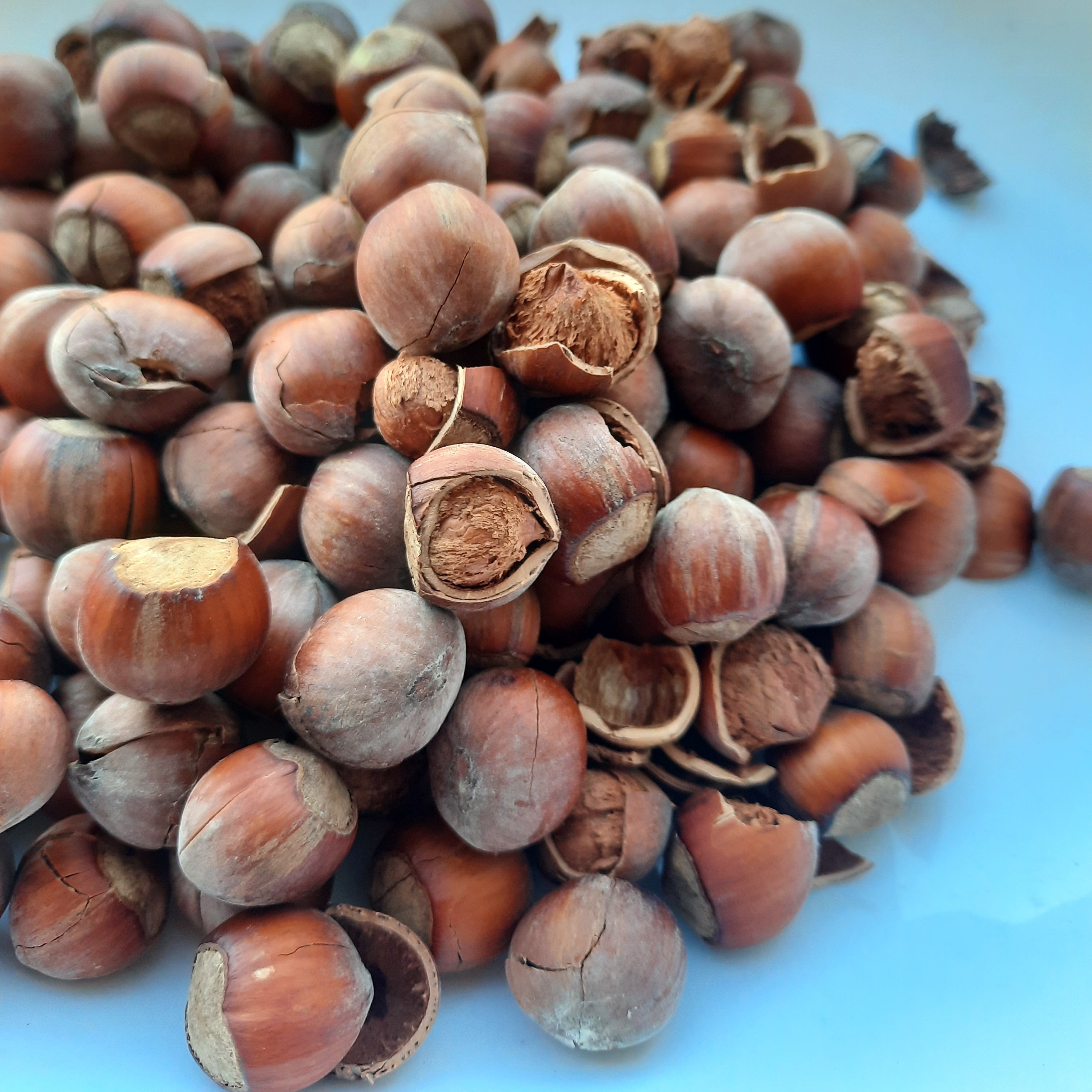 فندق خام شکسته(خندان) دو کیلوگرم فیدنو