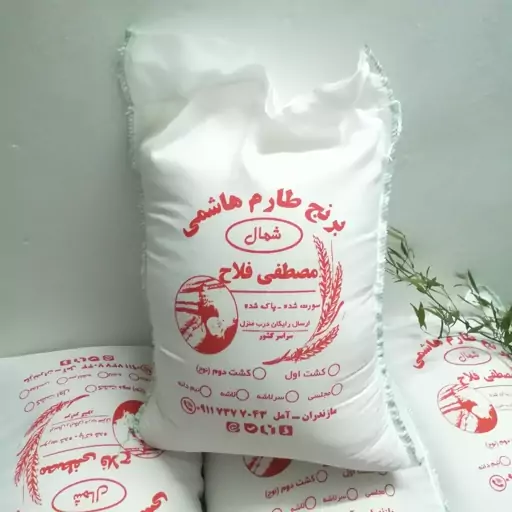 برنج طارم هاشمی مجلسی مصطفی فلاح 20 ک صادراتی سورت شده (تضمین اصالت و کیفیت) 