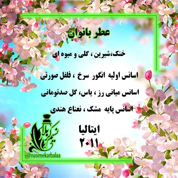 عطر سیگنورینا (سالواتوره فراگامو سیگنورینا) عطر درجه یک مخصوص دختر خانوم های شیک و خاص(یک گرم)