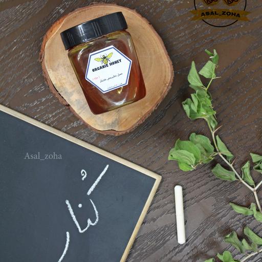 عسل طبیعی کنار ویژه (500 گرم) صد در صد طبیعی و آنالیز شده، از شیراز... با کیفیت اعلا 