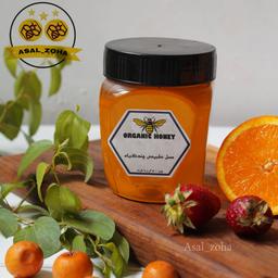 عسل طبیعی چندگیاه (500 گرم) صد در صد طبیعی و آنالیز شده، با کیفیت بسیار اعلا 