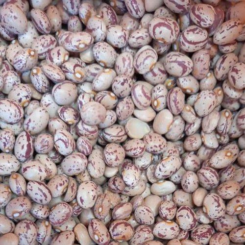 لوبیا چیتی ایرانی دستچین خمین (  یک کیلو) 
