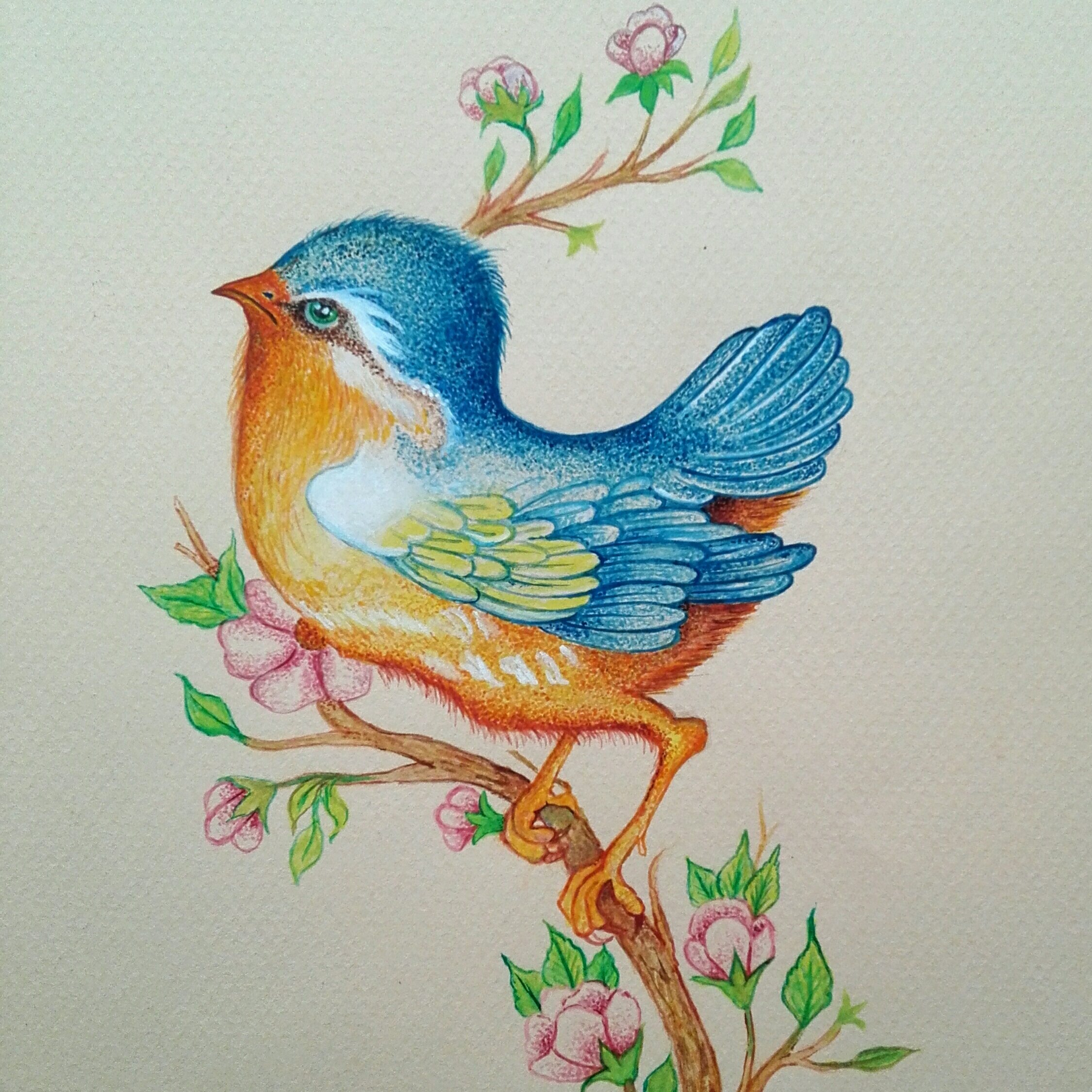 نقاشی گل و مرغ، طرح خیال