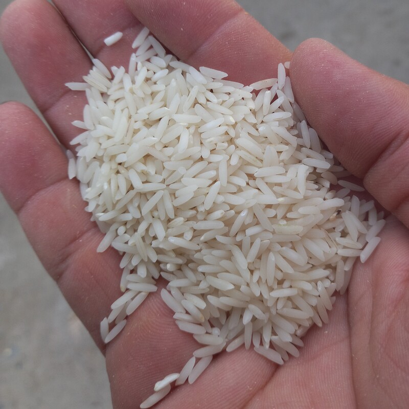 برنج طارم هاشمی آمل کشت اول در بسته بندی 10کیلویی
