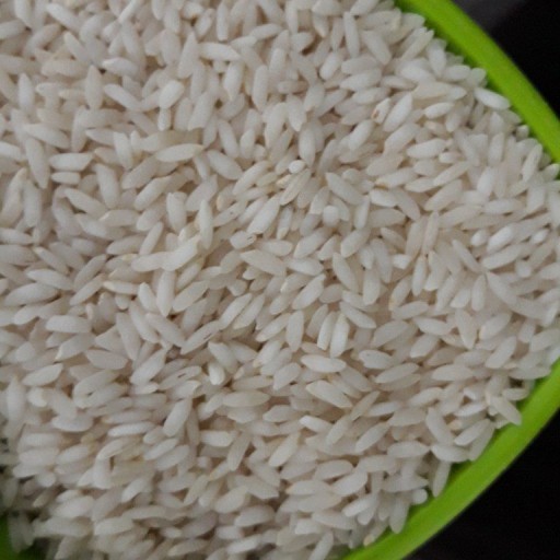 برنج عنبربوی خوزستان، شوش و شوشتر
