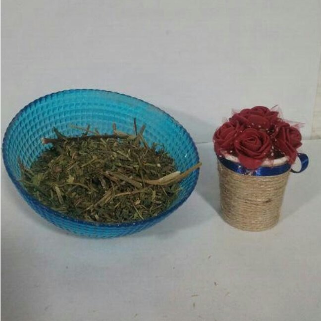 برگ کاسنی