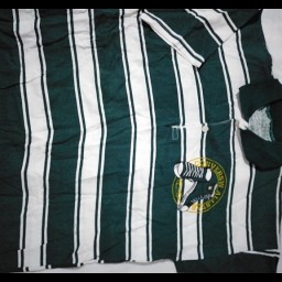 توضیحات تصویر