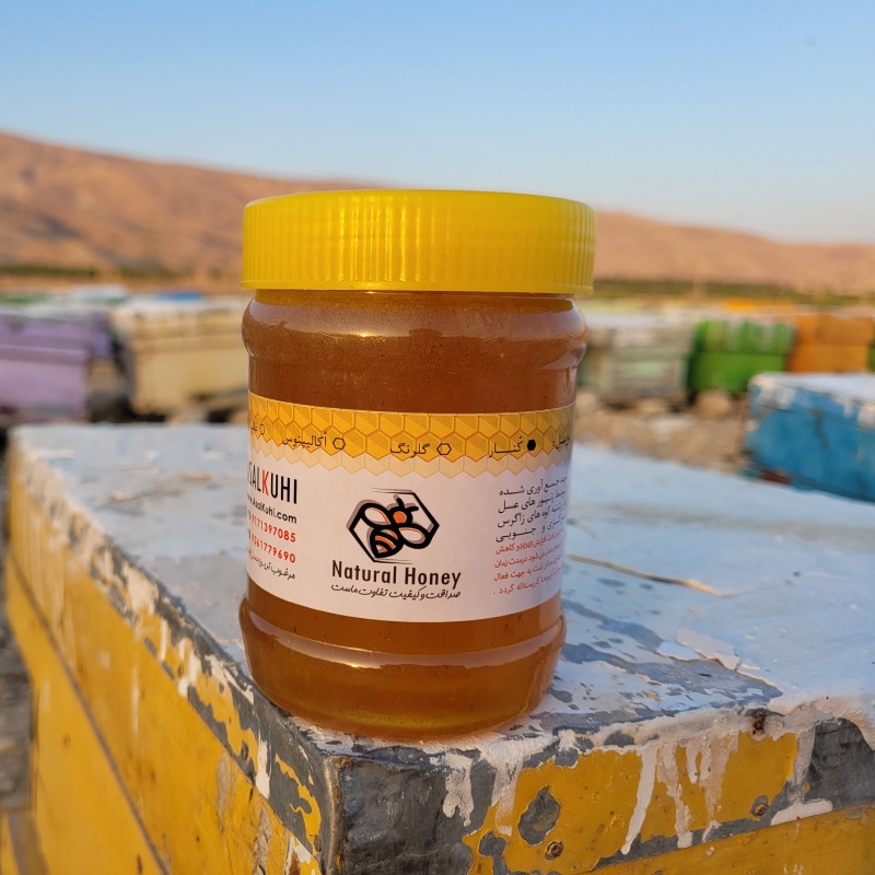 عسل کُنار اصل- 500 گرم،عسل کوهی کنار کاملا اصل ارگانیک و سالم 