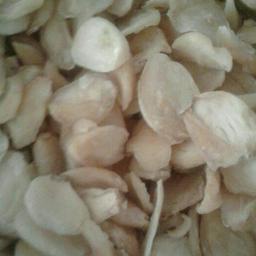 پودر سیر همدان بروز آسیاب شده از سیر خشک فوق العاده سفید و خوش عطر
