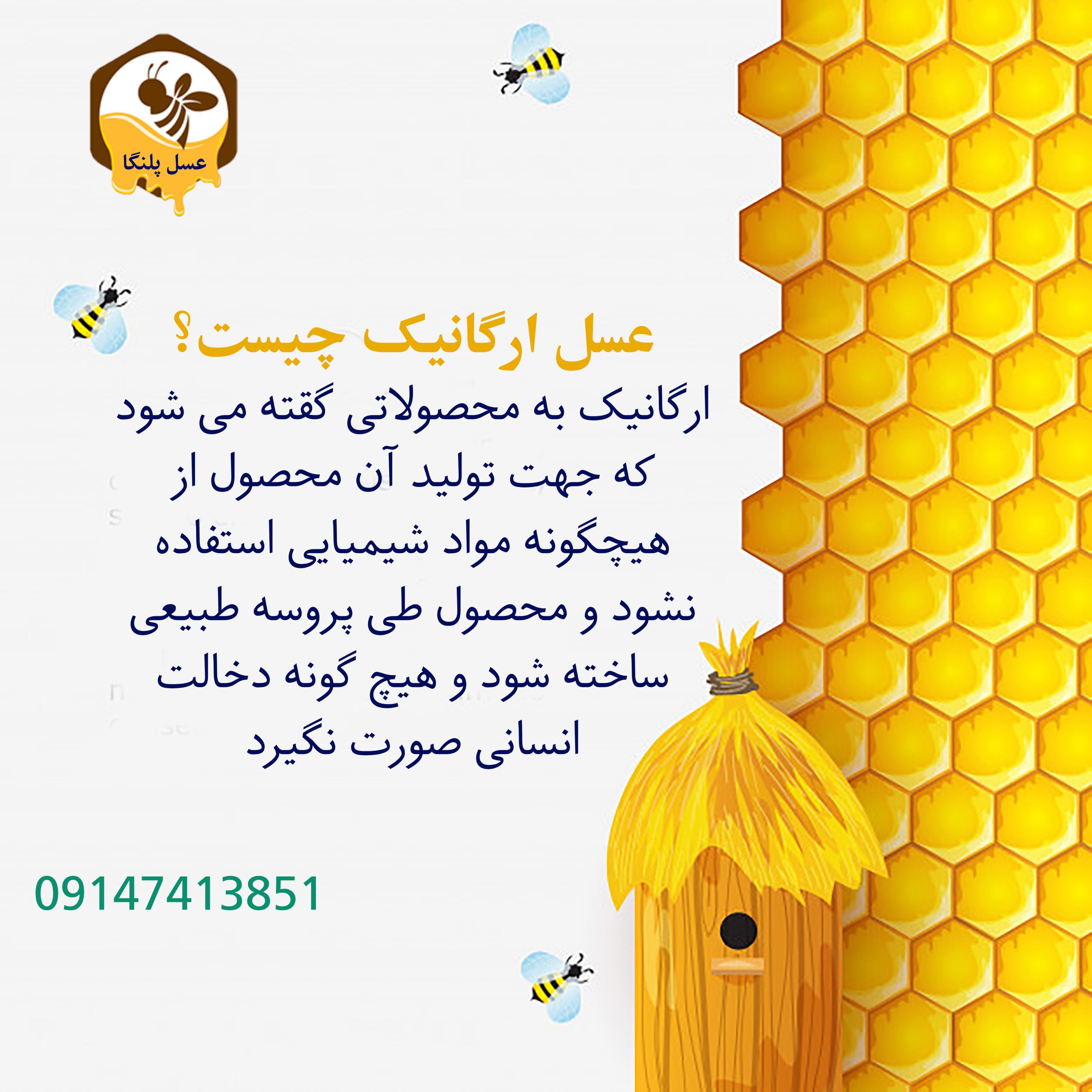 عسل ارگانیک خام رس بسته چند گیاه دیابتی کوهستان خلخال (480گرم) ا