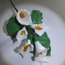گل شیپوری
