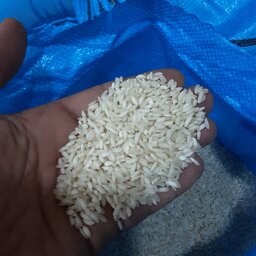 برنج عنبربو با کیفیت ممتاز  بدون واسطه(10 کیلو)