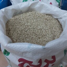 برنج عنبربو(چمپای خوزستان)،محلی خوش عطر و طعم، خوش پخت، با تضمین کیفیت  (50 کیلو)